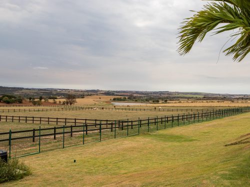 Fazenda haras de 92 ha – foto 20