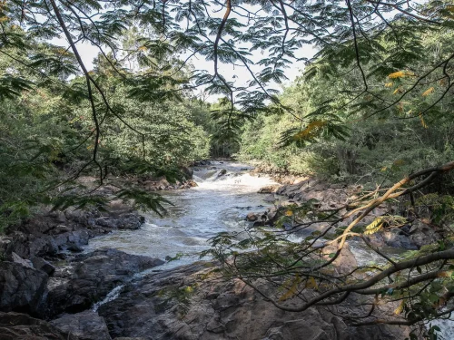 Fazenda histórica de 104 ha em Campinas – foto 11